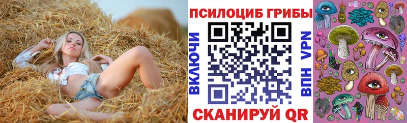 Псилоцибиновые грибы мицелий  наркота  Владикавказ 
