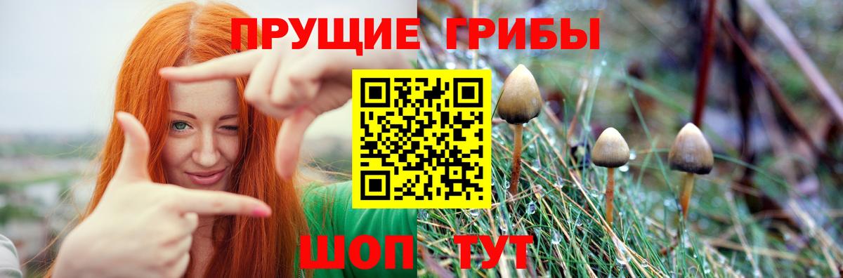 Владикавказ  Галлюциногенные грибы MAGIC MUSHROOMS  Вход с VPN  Псилоцибиновые грибы мухоморы 